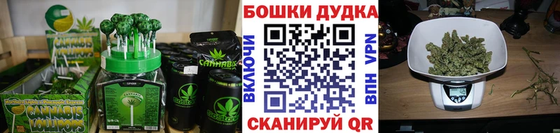 нарко площадка наркотические препараты  Стародуб  Canna-Cookies марихуана 
