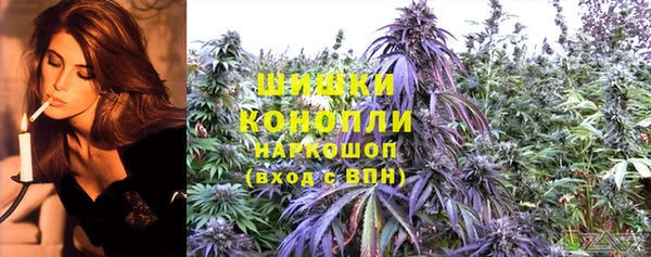 трава Аркадак