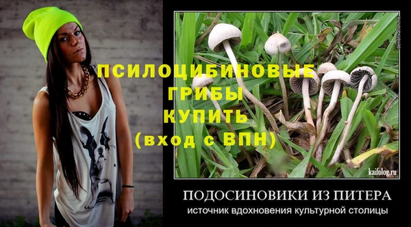 apvp Армянск
