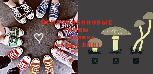 apvp Армянск