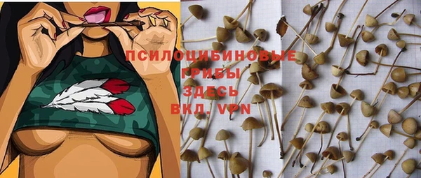 трава Аркадак