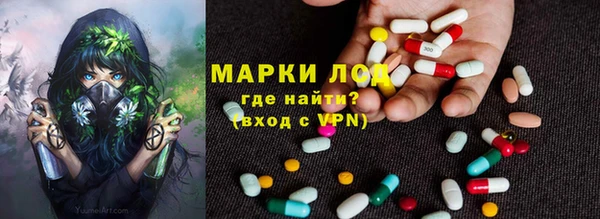 трава Аркадак