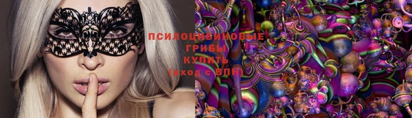 трава Аркадак