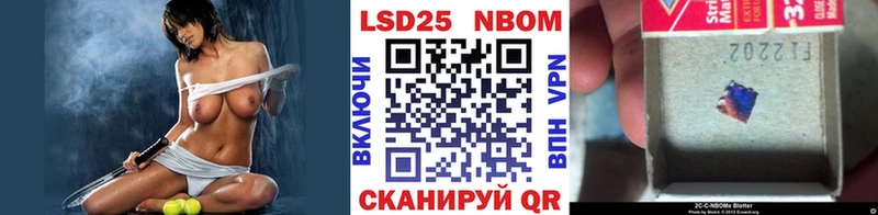 Наркотические марки 1,8мг  это телеграм  Стародуб 