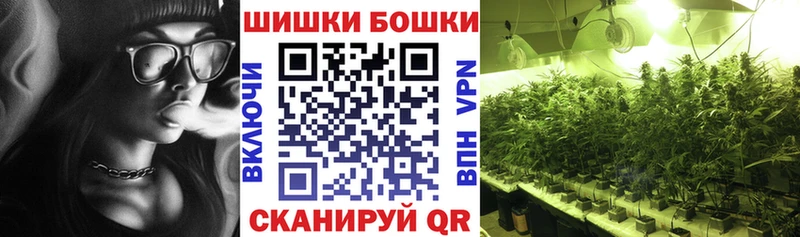 наркота  Стародуб  Шишки марихуана SATIVA & INDICA 